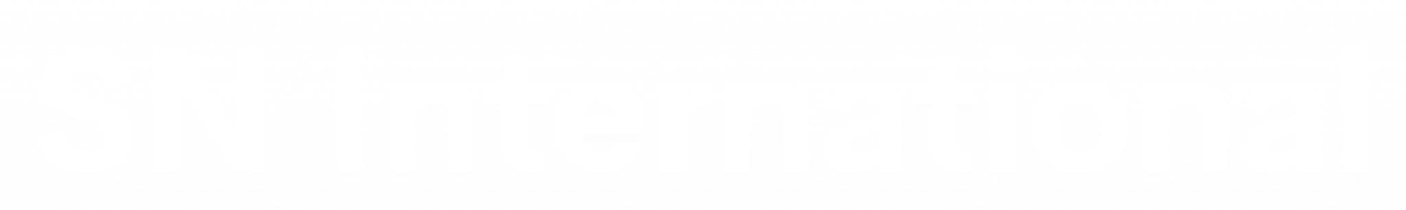 SN International